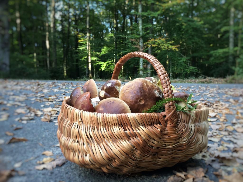骑士精神住宿加早餐旅馆 Noce 外观 照片